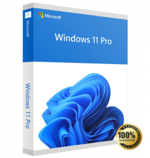 Windows 11 Professional