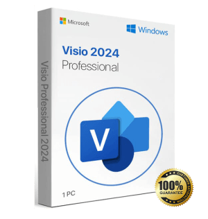 Visio 2024 Professional