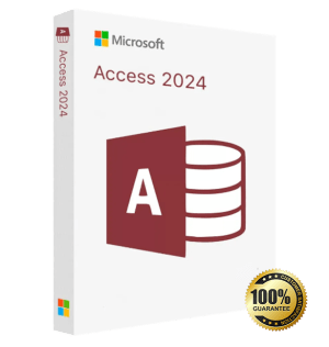 access 2024